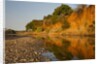 Riverbed, Zambezi National Park by Anonymous