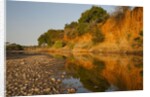 Riverbed, Zambezi National Park by Anonymous