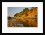 Riverbed, Zambezi National Park by Anonymous