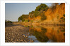 Riverbed, Zambezi National Park by Anonymous