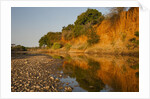 Riverbed, Zambezi National Park by Anonymous