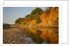 Riverbed, Zambezi National Park by Anonymous