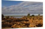 Banks Along Zambezi River by Anonymous