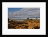 Banks Along Zambezi River by Anonymous