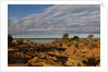 Banks Along Zambezi River by Anonymous
