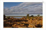 Banks Along Zambezi River by Anonymous