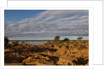 Banks Along Zambezi River by Anonymous