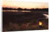 South Luwangua National Park at Dusk by Anonymous