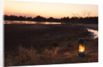 South Luwangua National Park at Dusk by Anonymous