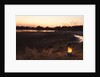 South Luwangua National Park at Dusk by Anonymous