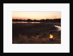 South Luwangua National Park at Dusk by Anonymous
