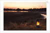 South Luwangua National Park at Dusk by Anonymous