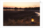 South Luwangua National Park at Dusk by Anonymous