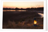 South Luwangua National Park at Dusk by Anonymous