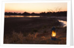 South Luwangua National Park at Dusk by Anonymous