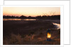 South Luwangua National Park at Dusk by Anonymous