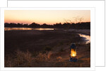 South Luwangua National Park at Dusk by Anonymous