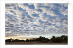 South Luwangwe National Park by Anonymous