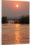 Kafue River at Dawn by Anonymous