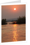 Kafue River at Dawn by Anonymous