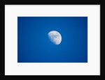 Moonrise, Acadia National Park, Maine by Anonymous