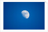 Moonrise, Acadia National Park, Maine by Anonymous