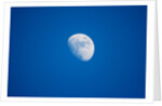 Moonrise, Acadia National Park, Maine by Anonymous
