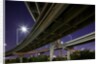 Highway Overpass, Charleston, South Carolina by Anonymous