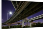 Highway Overpass, Charleston, South Carolina by Anonymous