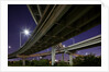 Highway Overpass, Charleston, South Carolina by Anonymous