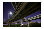 Highway Overpass, Charleston, South Carolina by Anonymous