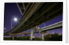 Highway Overpass, Charleston, South Carolina by Anonymous