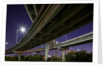 Highway Overpass, Charleston, South Carolina by Anonymous