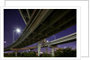 Highway Overpass, Charleston, South Carolina by Anonymous