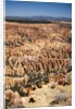 Bryce Canyon National Park, Utah by Anonymous