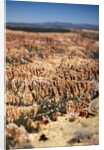 Bryce Canyon National Park, Utah by Anonymous