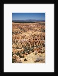 Bryce Canyon National Park, Utah by Anonymous