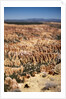 Bryce Canyon National Park, Utah by Anonymous
