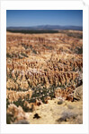 Bryce Canyon National Park, Utah by Anonymous