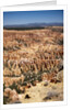Bryce Canyon National Park, Utah by Anonymous