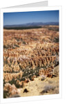 Bryce Canyon National Park, Utah by Anonymous