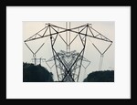 Power Lines, Mount Storm, West Virginia by Anonymous