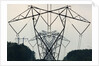 Power Lines, Mount Storm, West Virginia by Anonymous