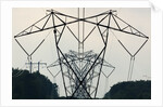 Power Lines, Mount Storm, West Virginia by Anonymous