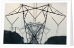 Power Lines, Mount Storm, West Virginia by Anonymous
