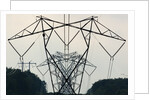 Power Lines, Mount Storm, West Virginia by Anonymous