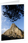 Devils Tower National Monument, Wyoming by Anonymous