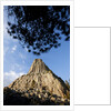 Devils Tower National Monument, Wyoming by Anonymous