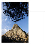 Devils Tower National Monument, Wyoming by Anonymous