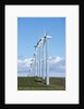 Windmills, Wallula, Washington by Anonymous